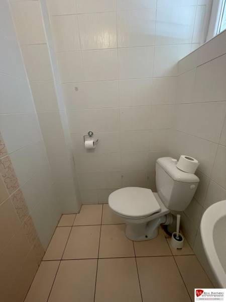 IMG-3140.jpg