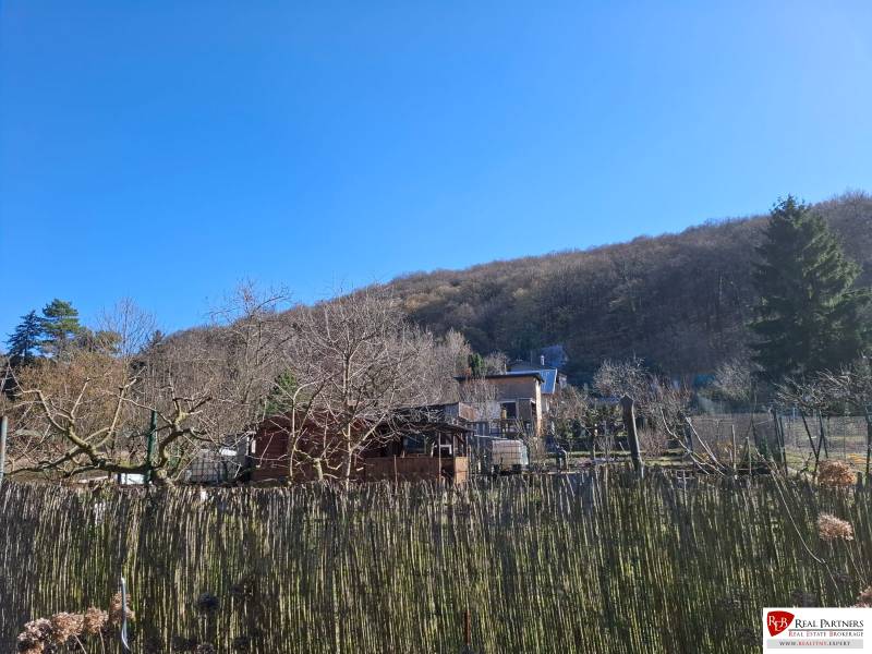 Obrázok WhatsApp 2025-03-19 o 19.42.57_201ade44.jpg