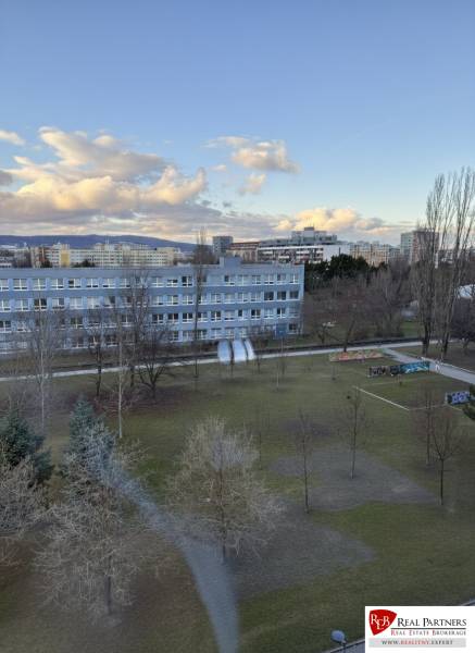 Rumančeková_z okna.JPEG