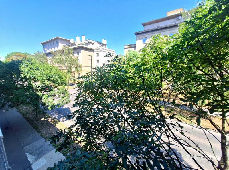 edited_image_e3dda44a.jpg