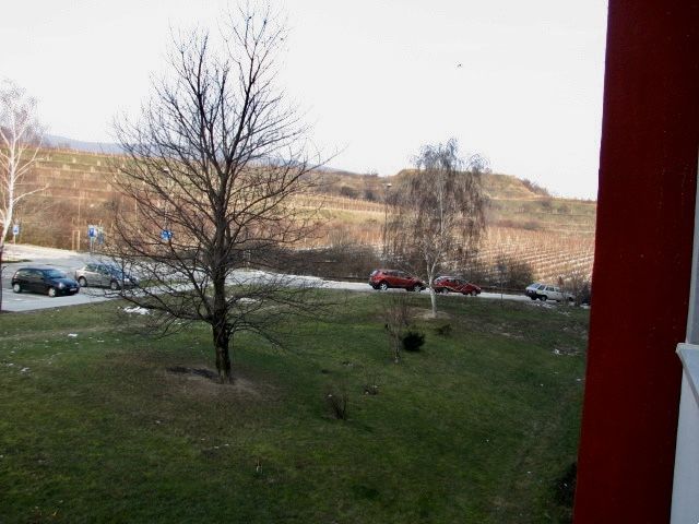 IMG_9112.jpg