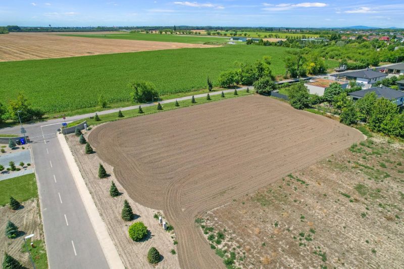 Kvetoslavov-10.jpg