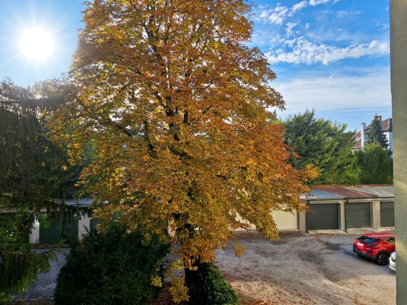 image_8da8918f.jpg